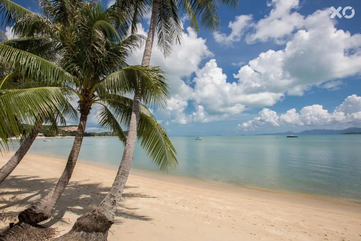 Tembo Beach Club & Resort