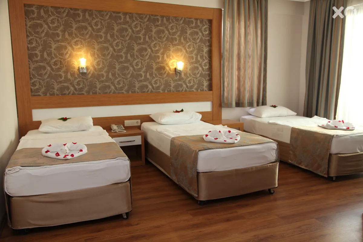 Lonicera City Hotel