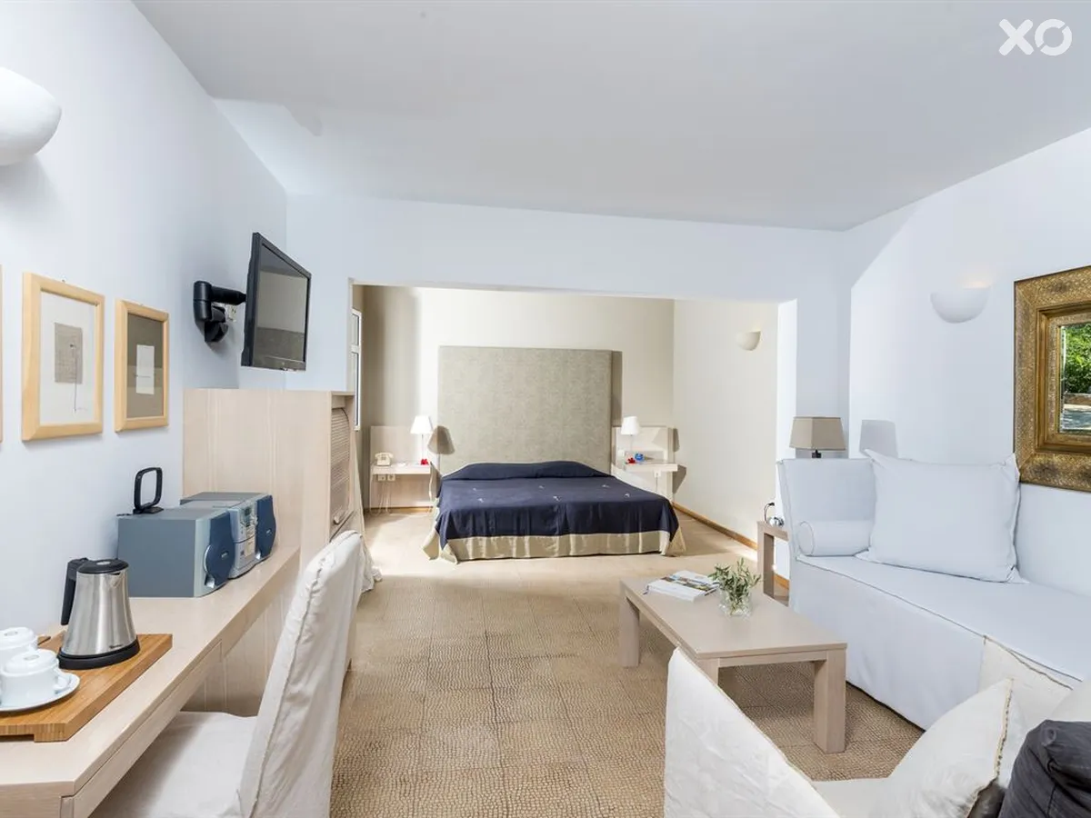 Minos Beach Art Hotel