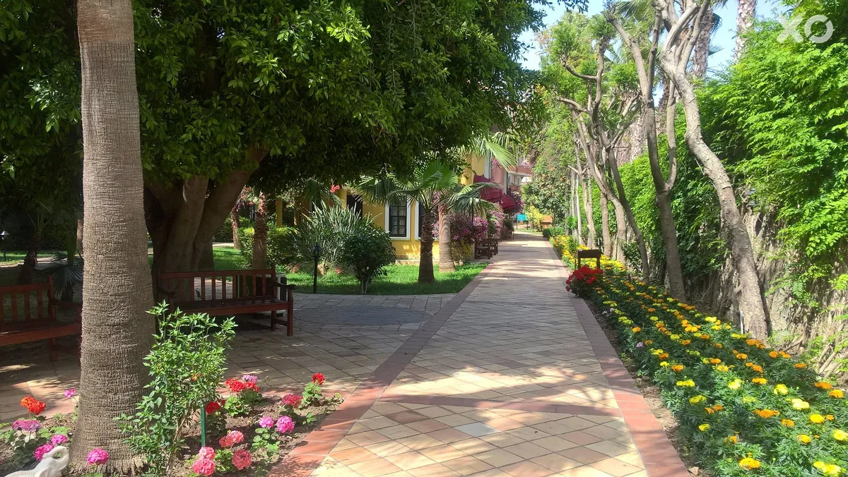 Dizalya Club Hotel
