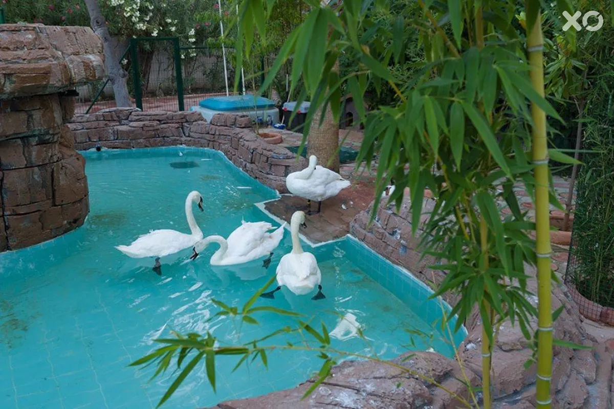 Marvida Hotel Akman Park