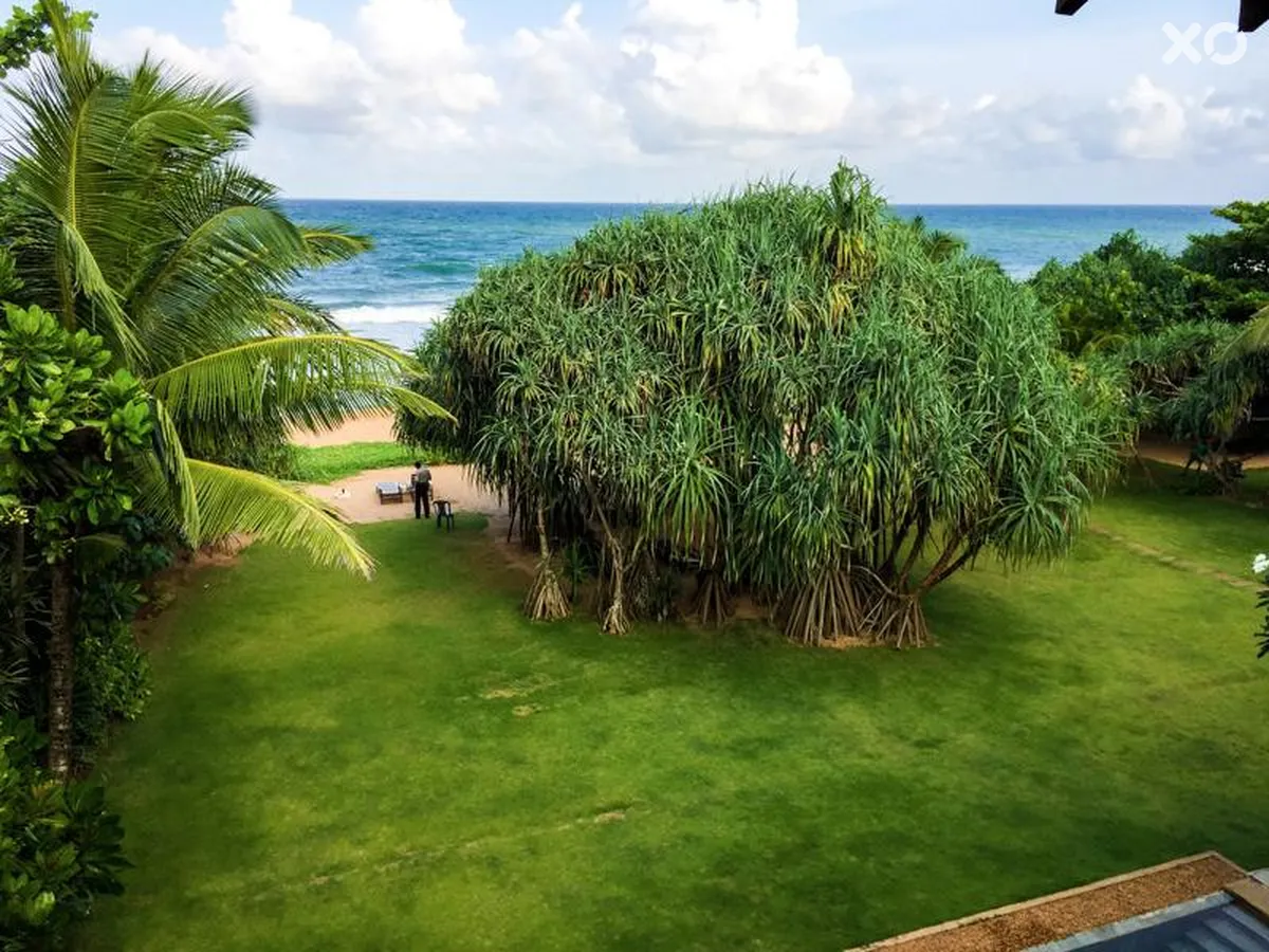 Temple Tree Resort & Spa