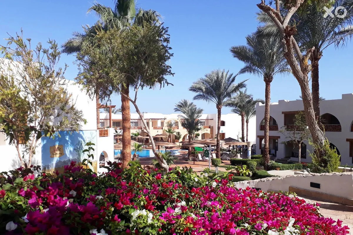 Albatros Royal Grand Sharm