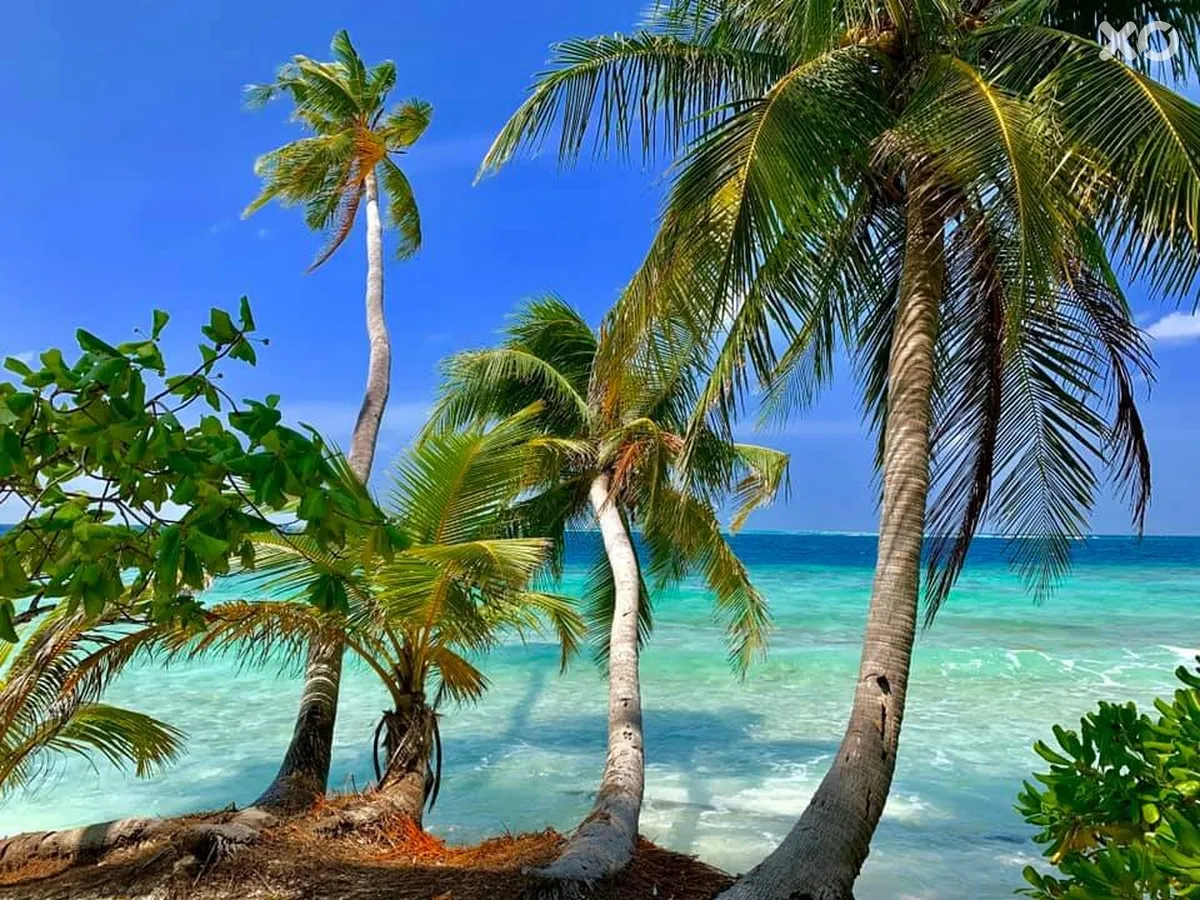 Filitheyo Island Resort