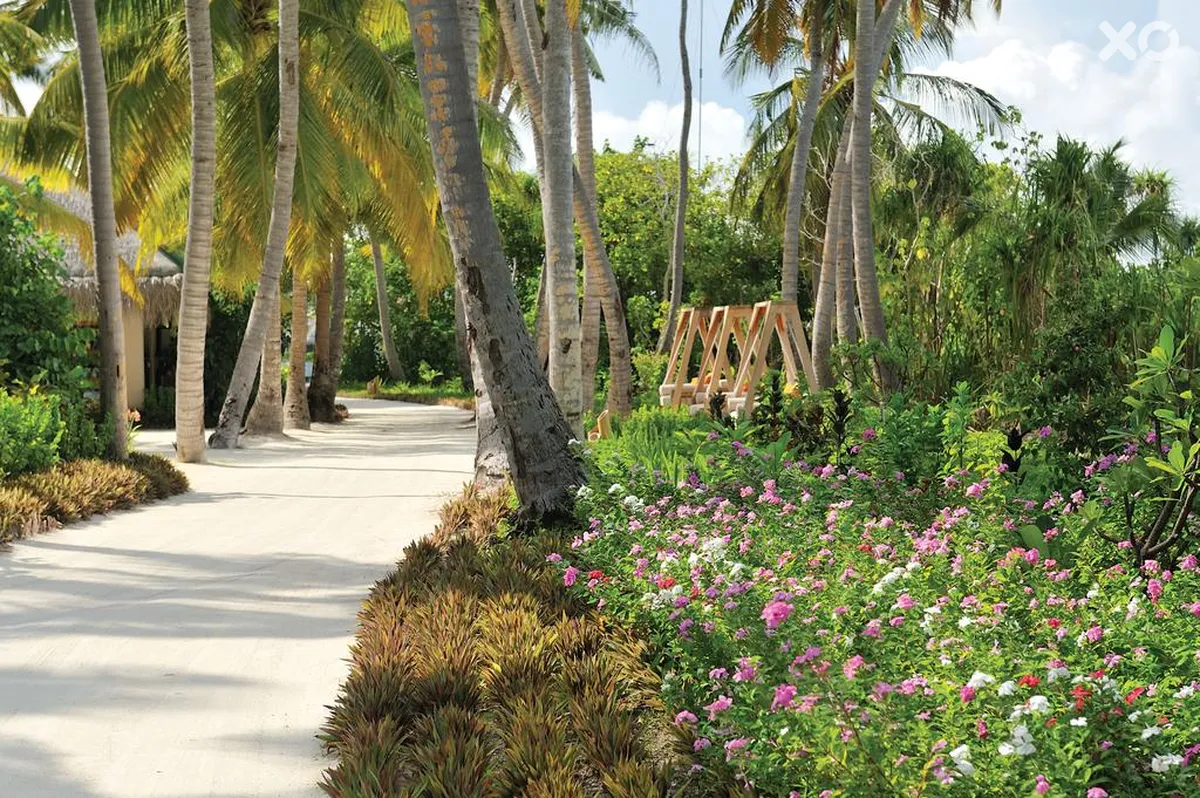 Ayada Maldives