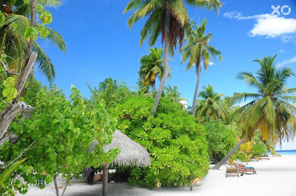 Filitheyo Island Resort
