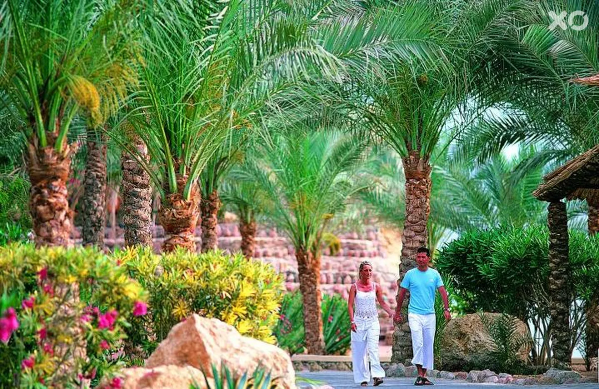 Reef Oasis Beach Resort