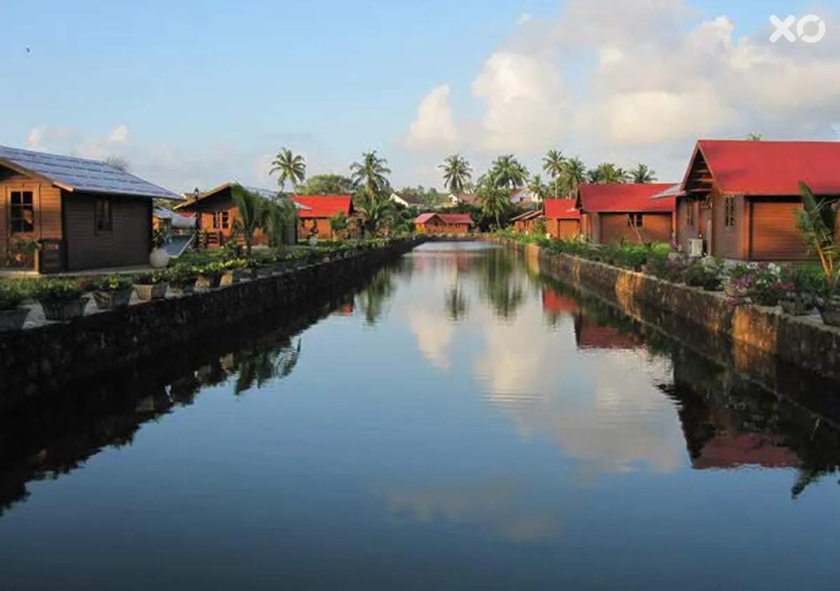 Primo Bom Terra Verde