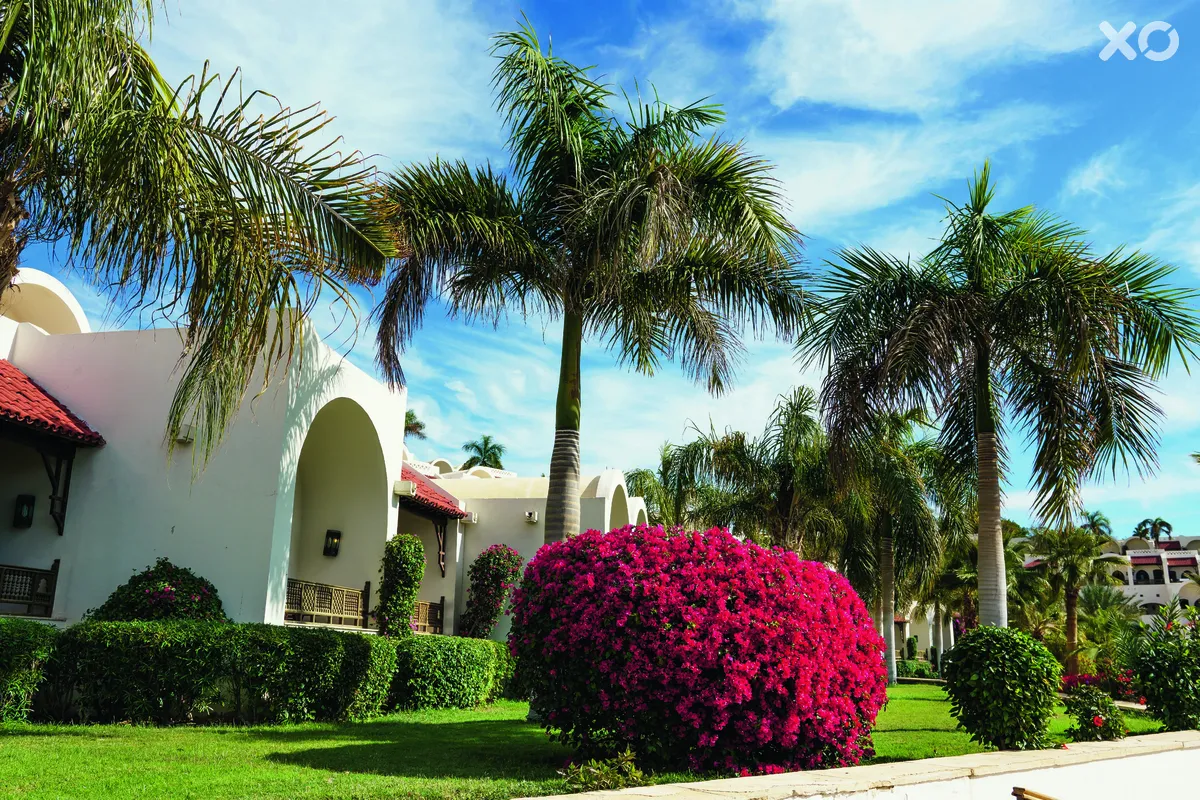 Movenpick Sharm el Sheikh Naama Bay