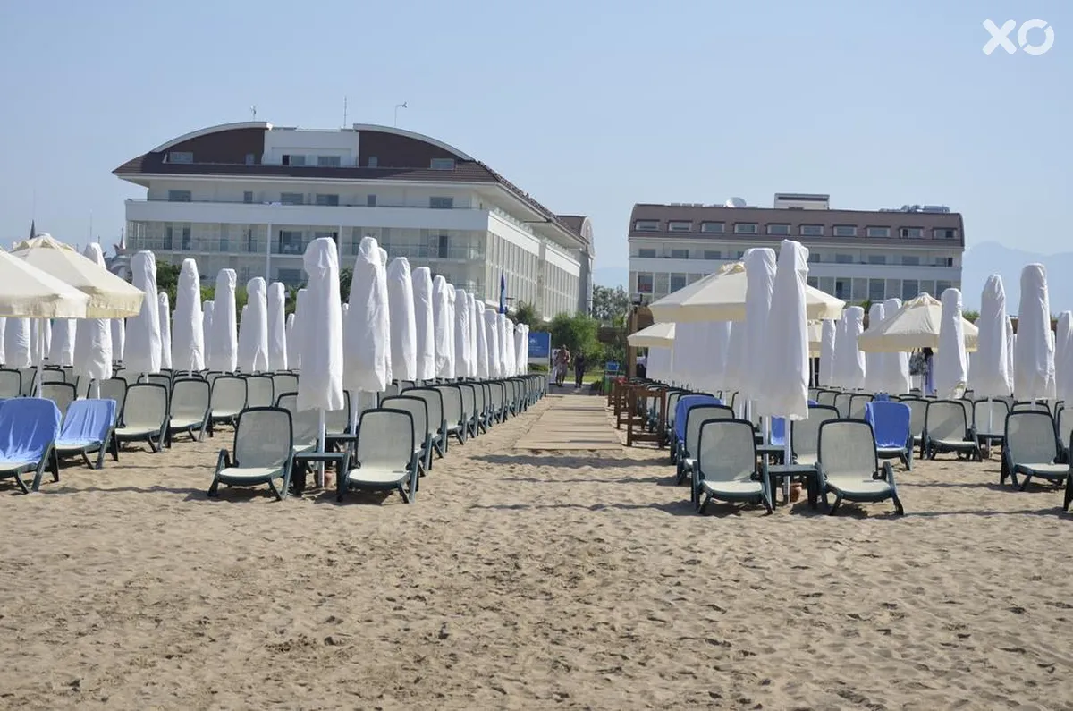 Trendy Verbena Beach