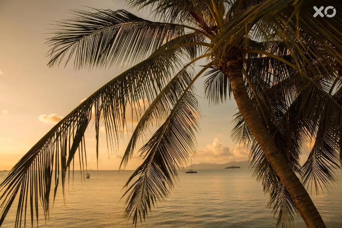 Tembo Beach Club & Resort
