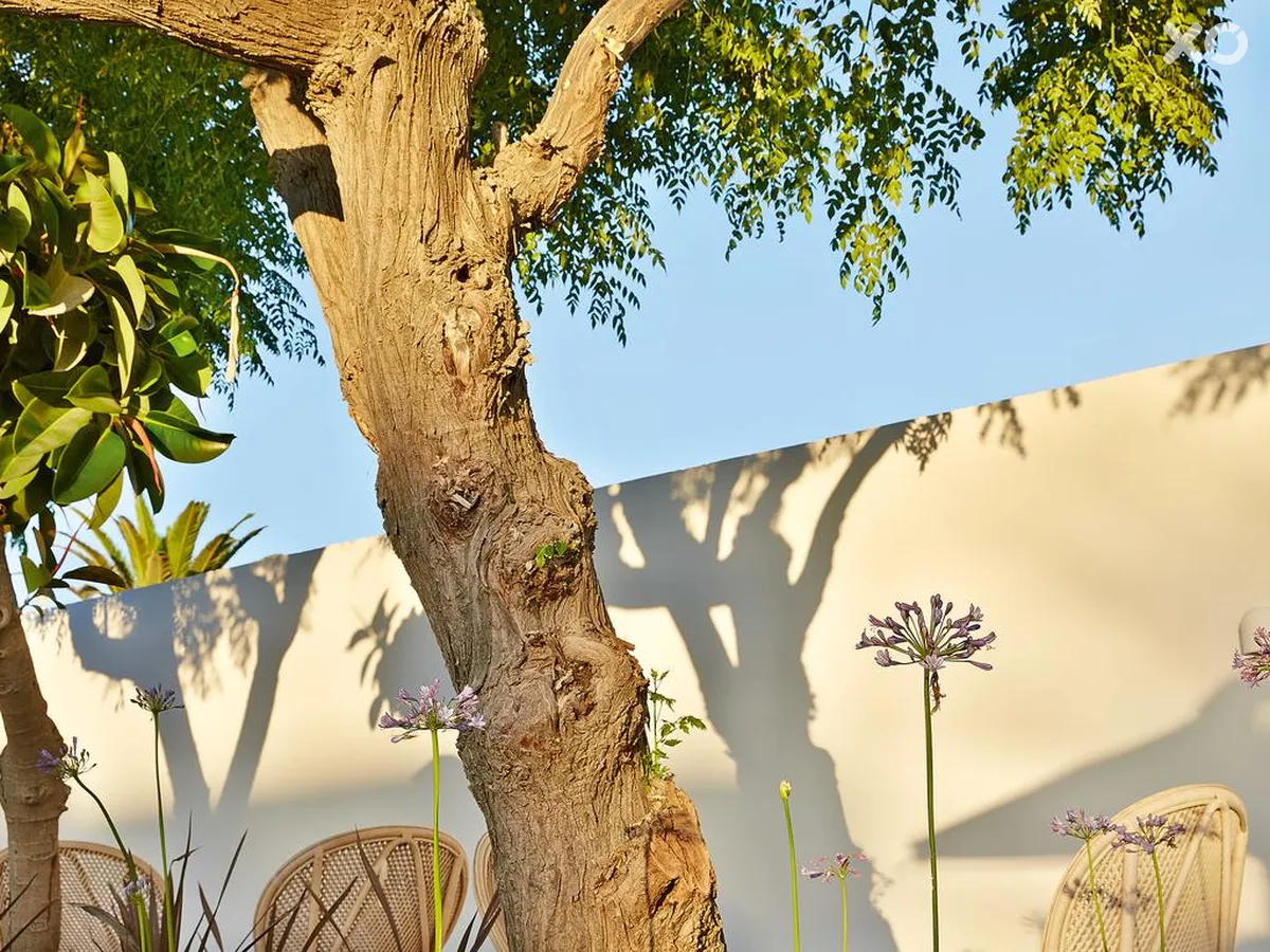 Caramel Grecotel Boutique Resort