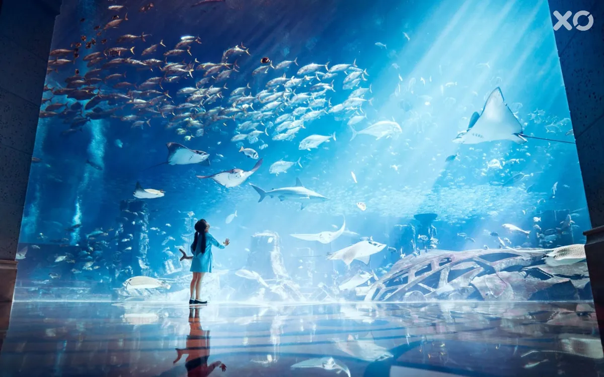 Atlantis The Palm