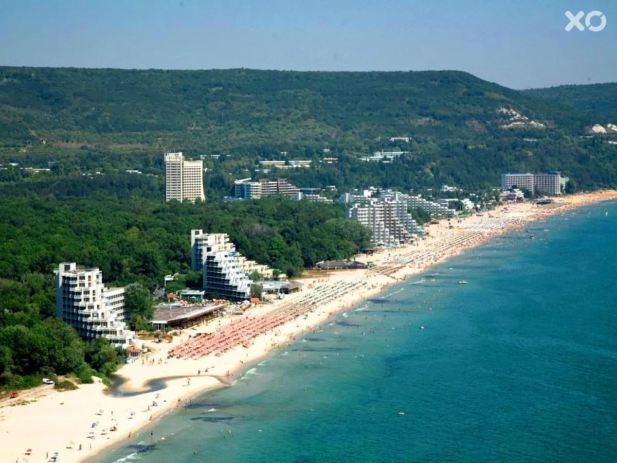 Каліопа