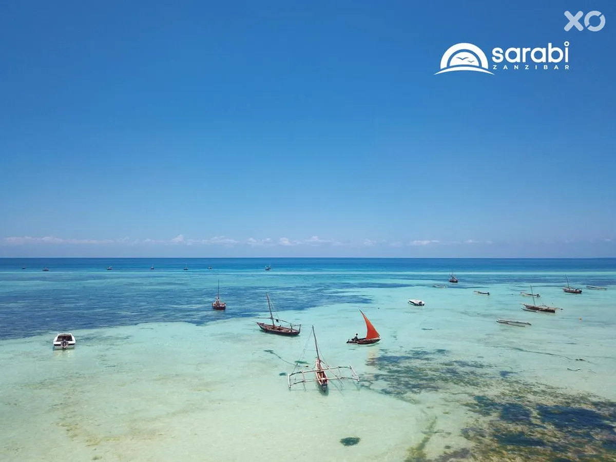 Mandarin Zanzibar