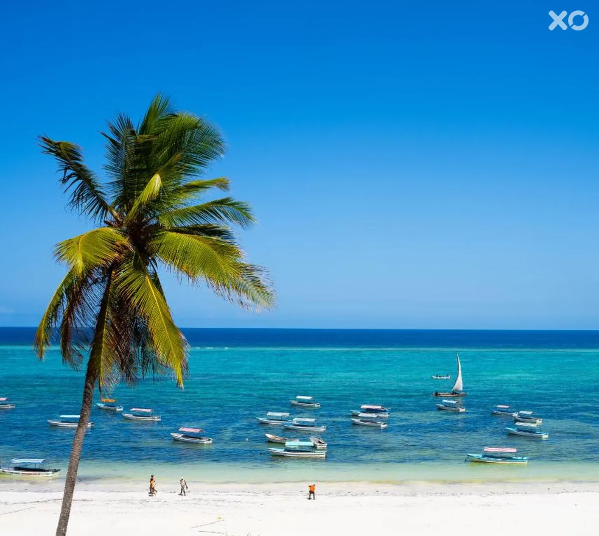 Alladin Beach Hotel & SPA Zanzibar