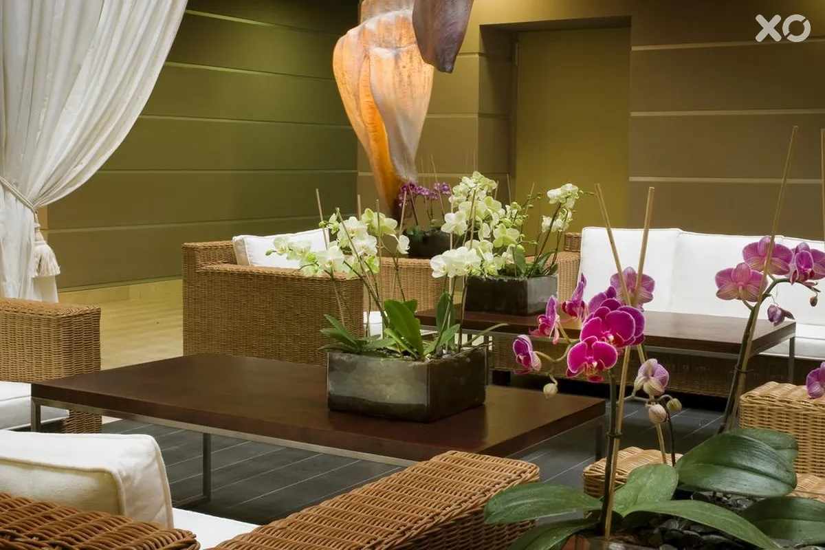 Kn Arenas del Mar Hotel Beach & Spa
