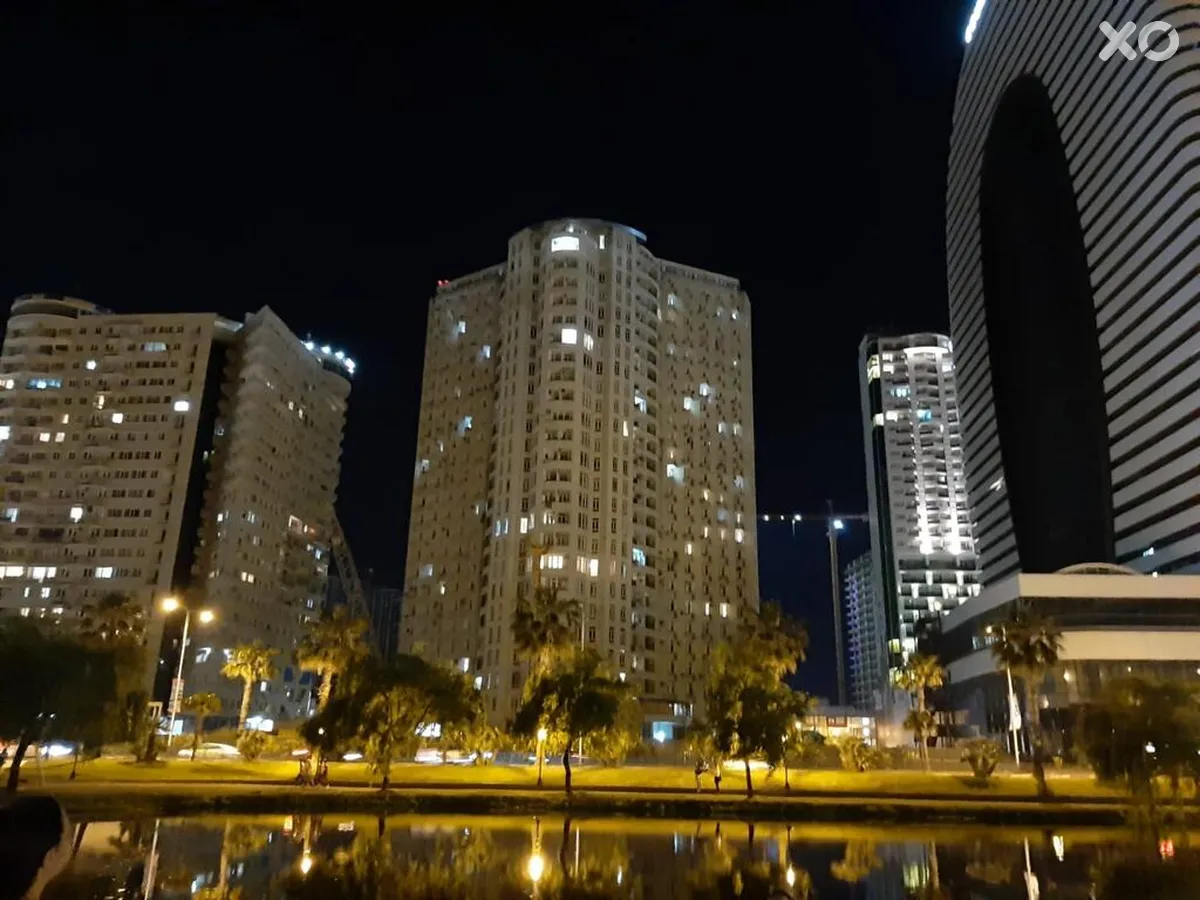 Dolphin On Gorgiladze