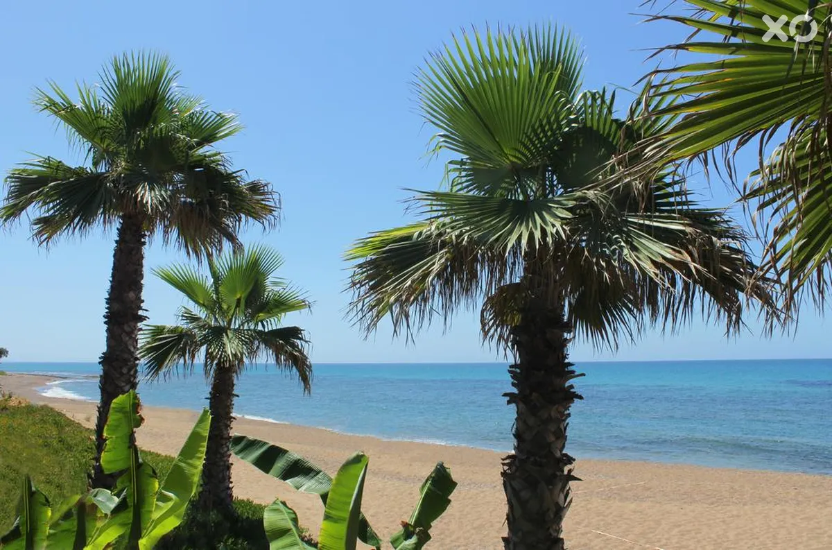 Ionion Beach Apartment Hotel