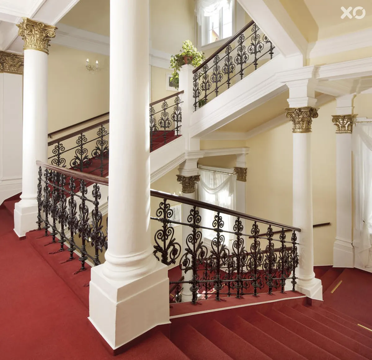 Savoy