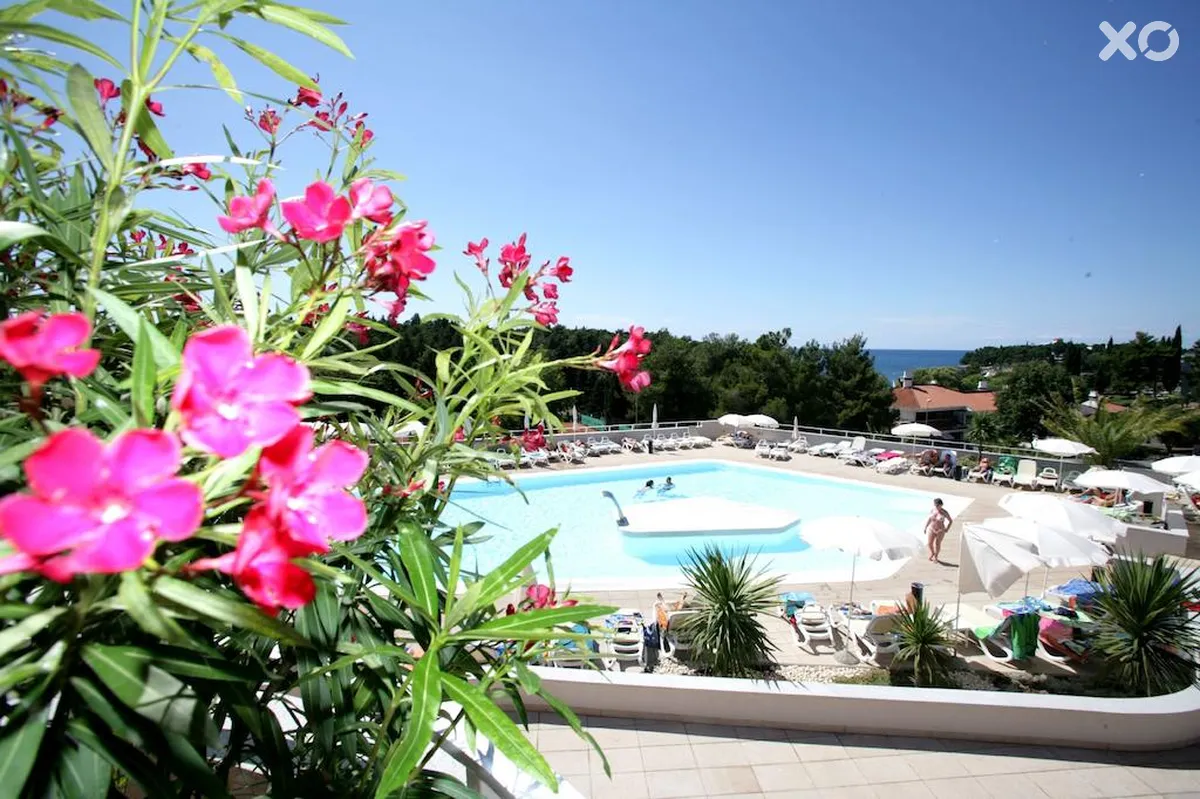 Albatros Plava Laguna Hotel
