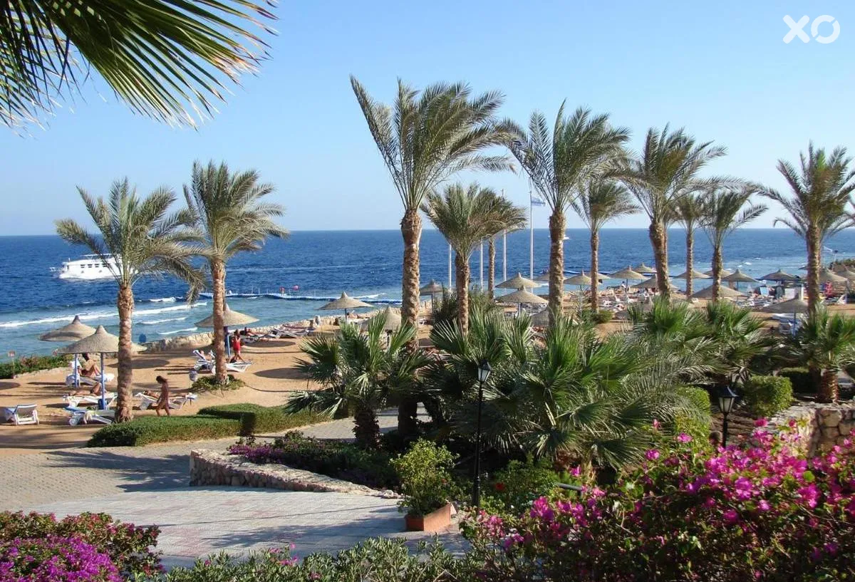 Queen Sharm Resort