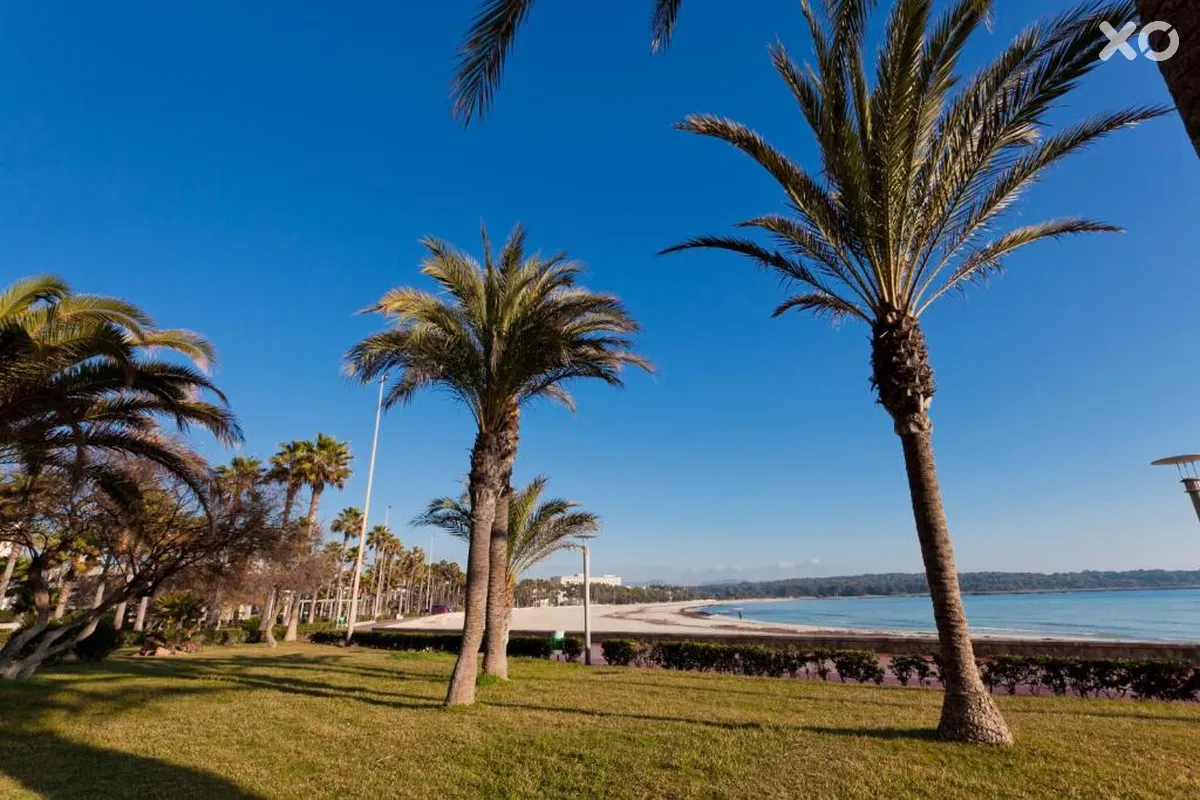 Brisa Marina Hotel