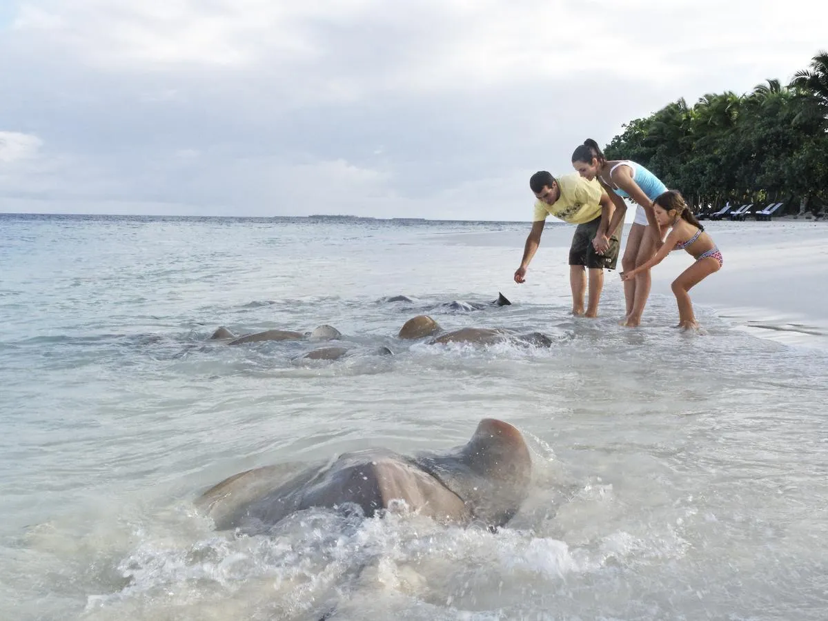 Taj Coral Reef Resort & Spa