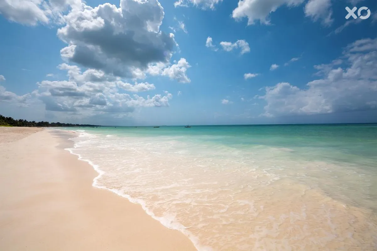 Next Paradise Boutique Resort