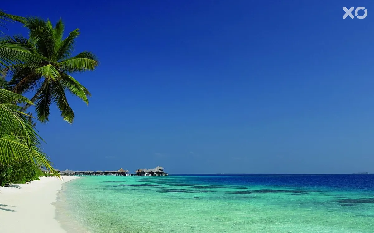 Coco Bodu Hithi