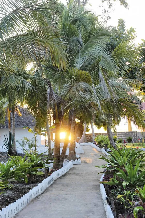 Aya Beach Bungalows