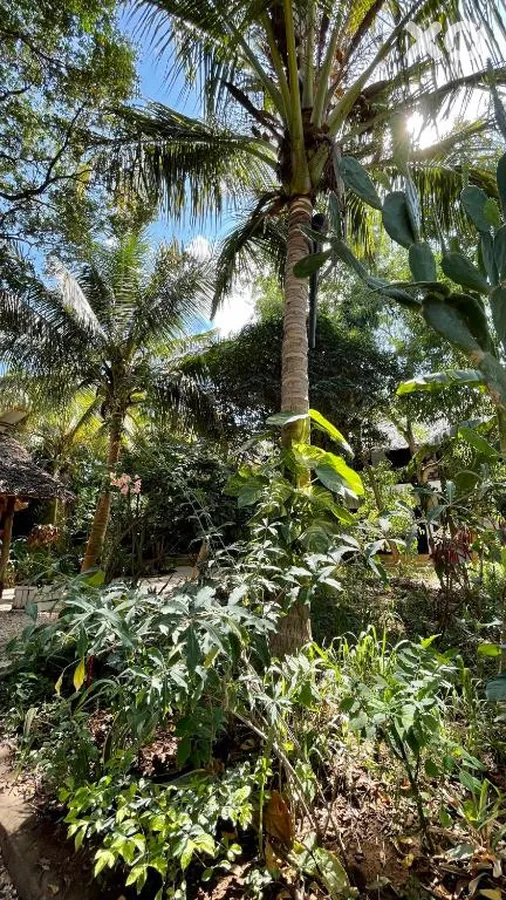 Atii Garden Bungalows