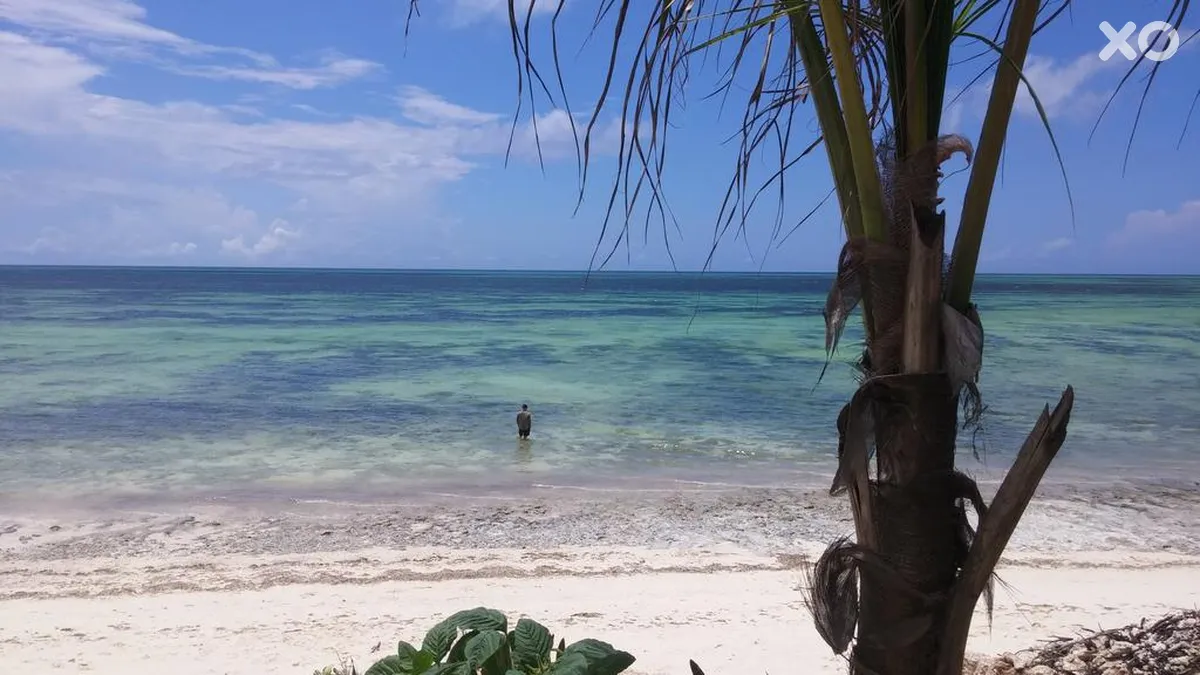 Marafiki Bungalows Zanzibar