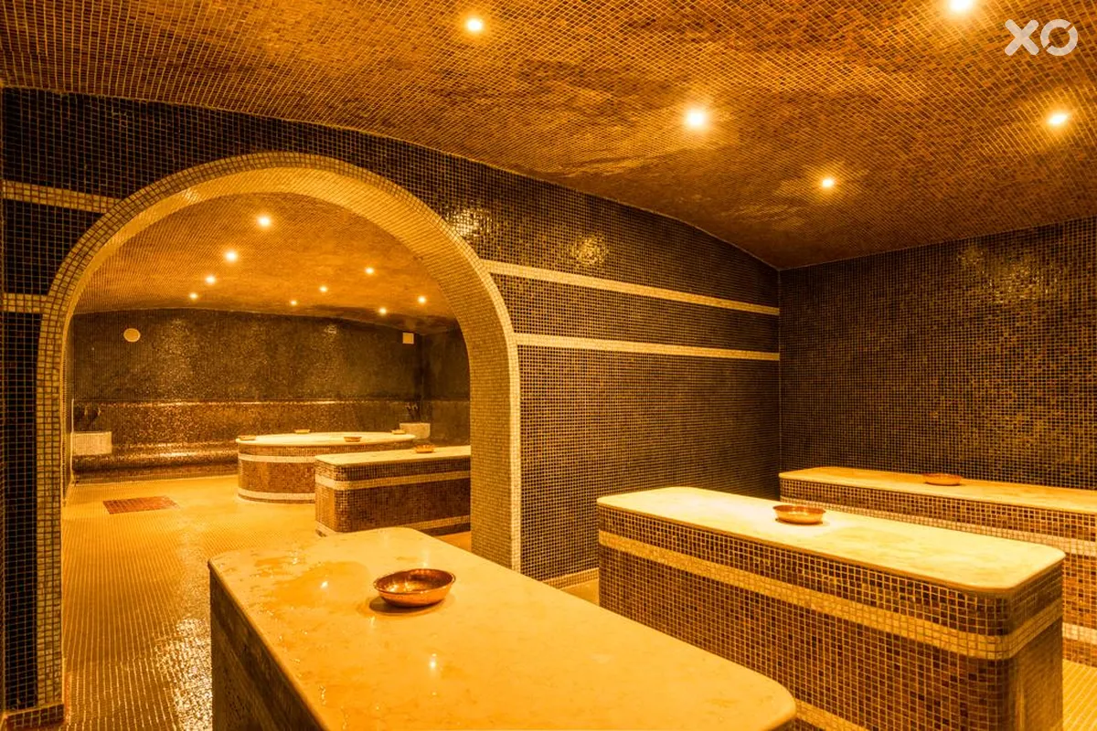 Zornitza Sands
