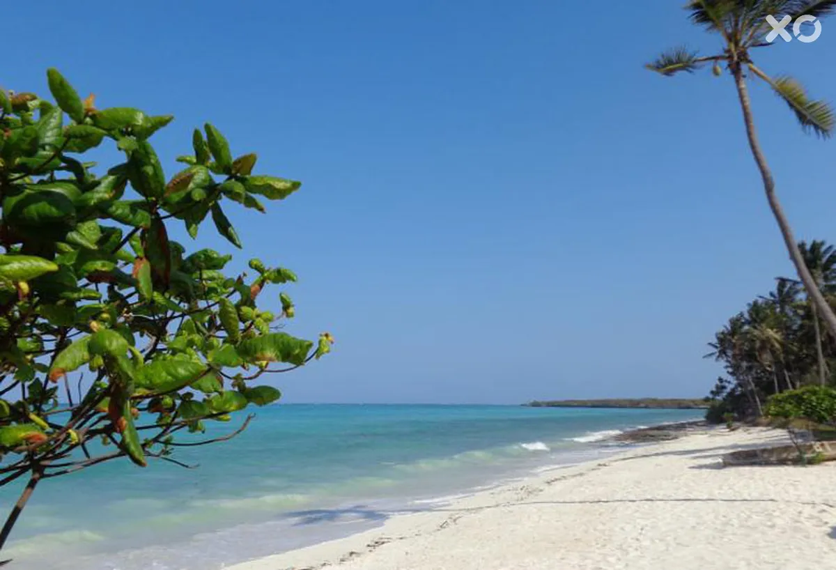 Reef & Beach Resort