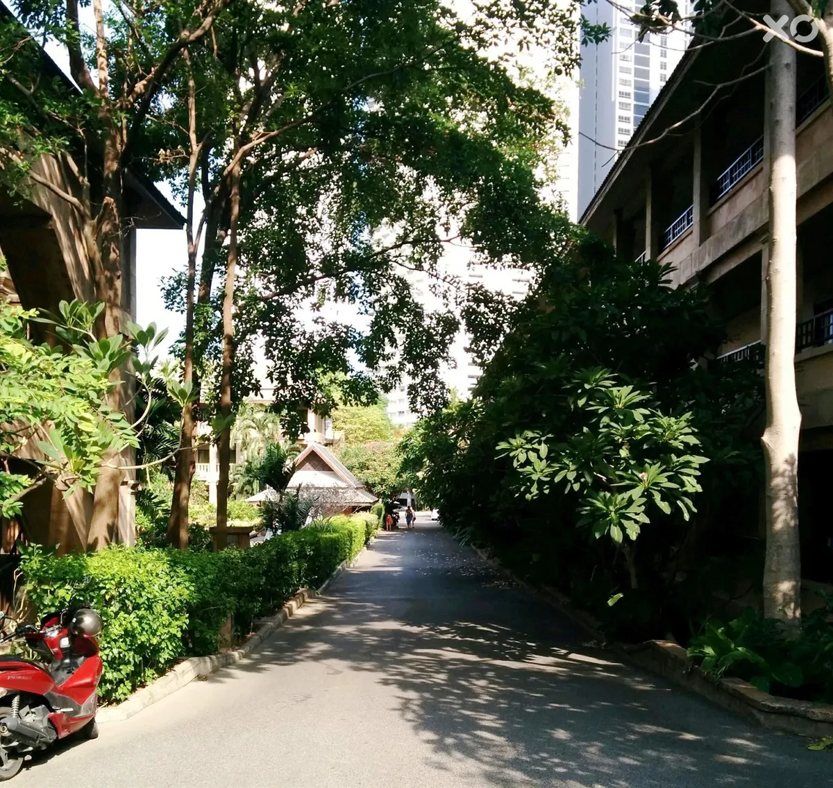 Plumeria Serviced Apartment