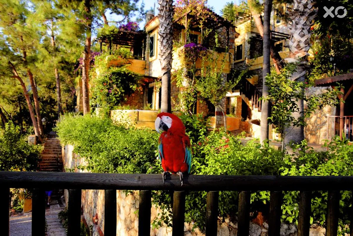 Symbola Oludeniz Beach Hotel