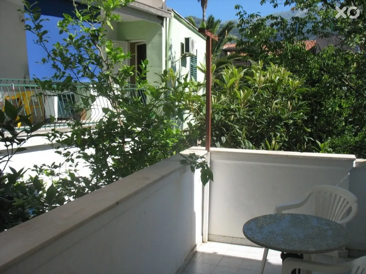 Boja Radjenovic Villa