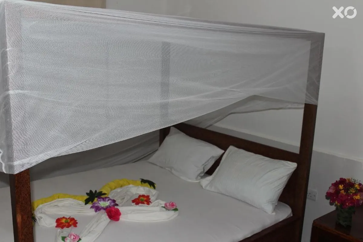Faridu Beach Bungalows