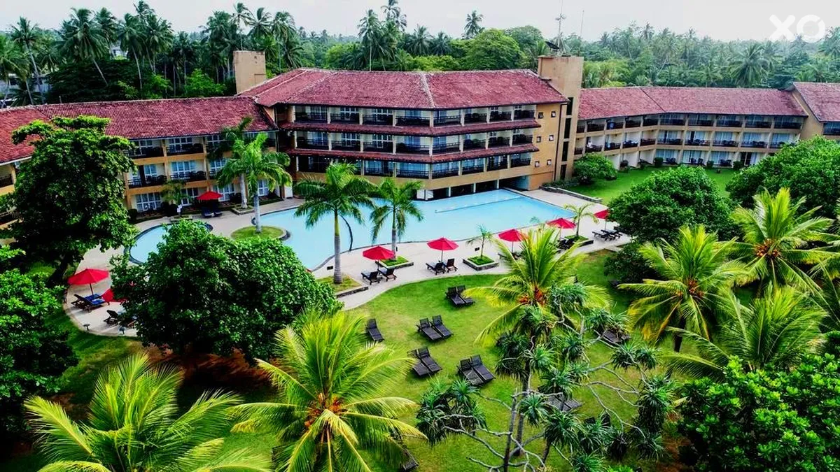 The Palms