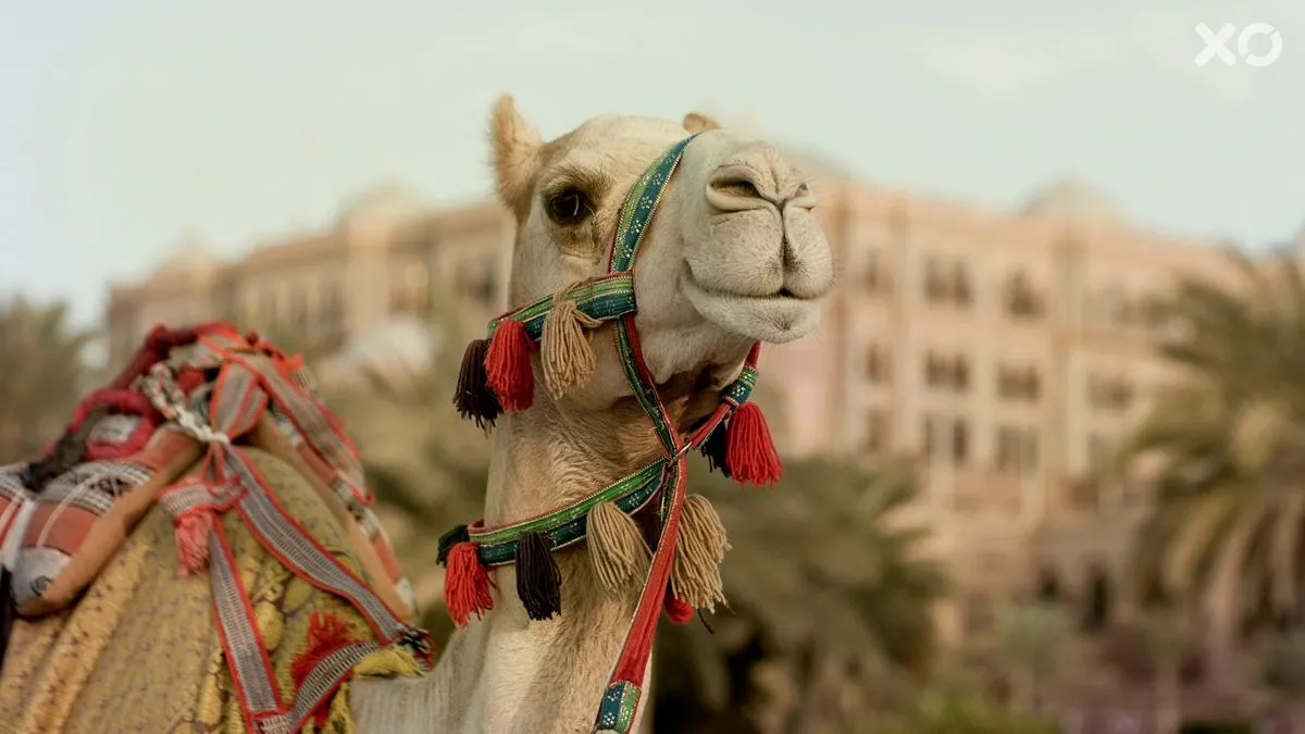 Emirates Palace Mandarin Oriental Abu Dhabi