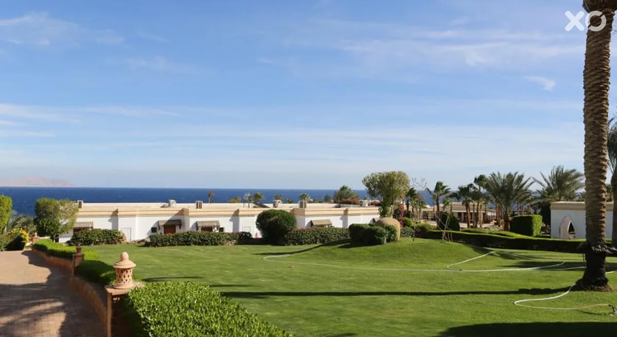 Club Reef