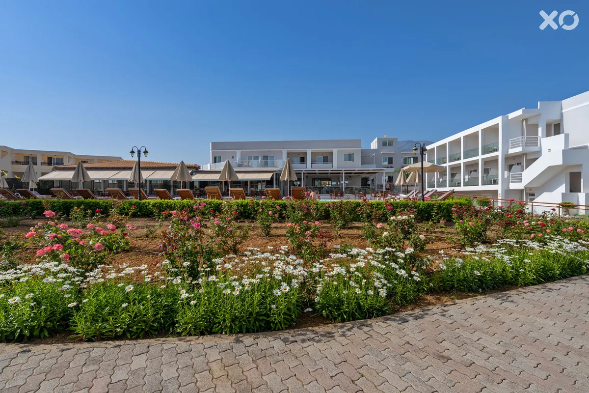 Delfina Tropic Beach