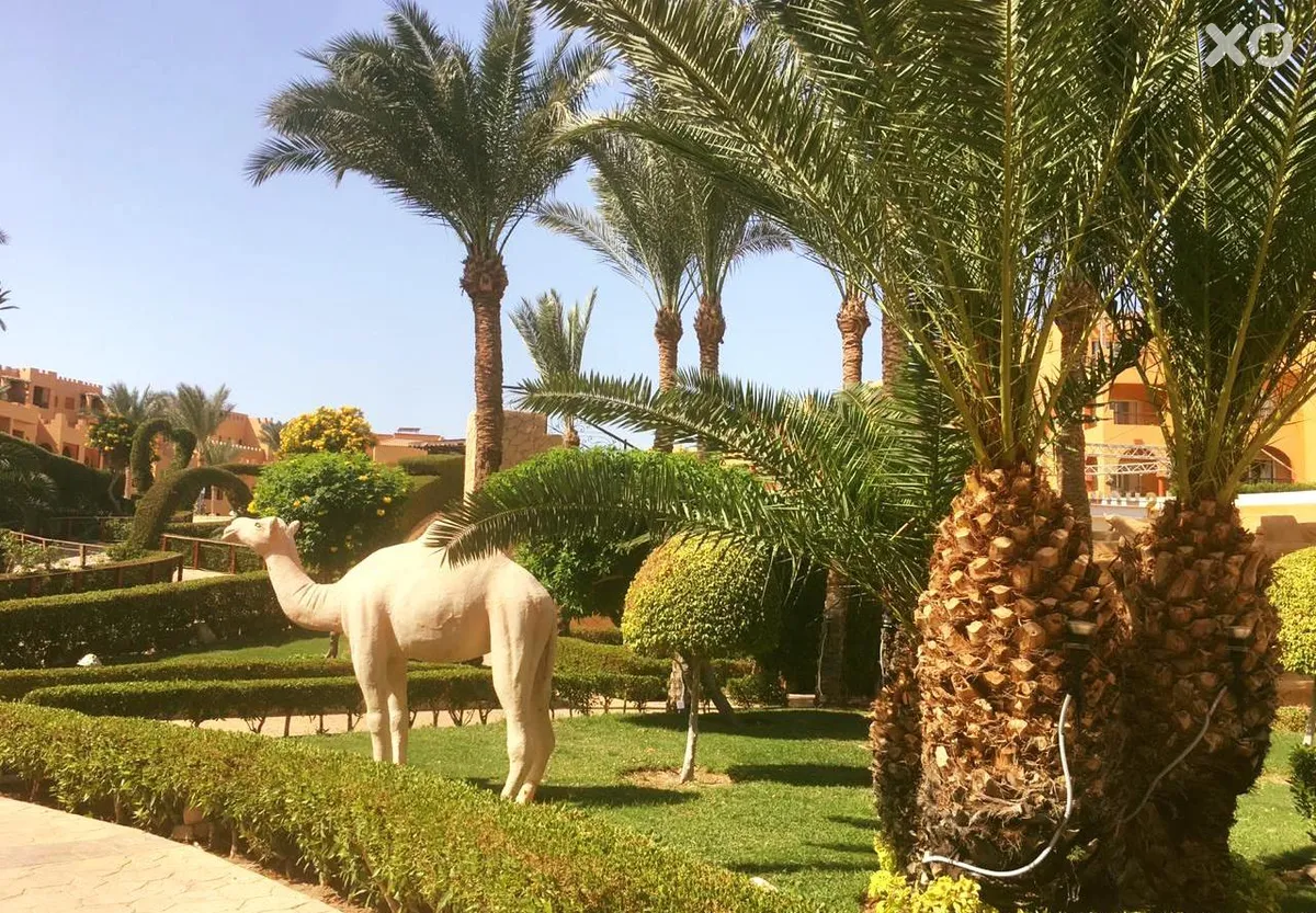 Rehana Royal Beach Resort Aqua Park & ​​Spa