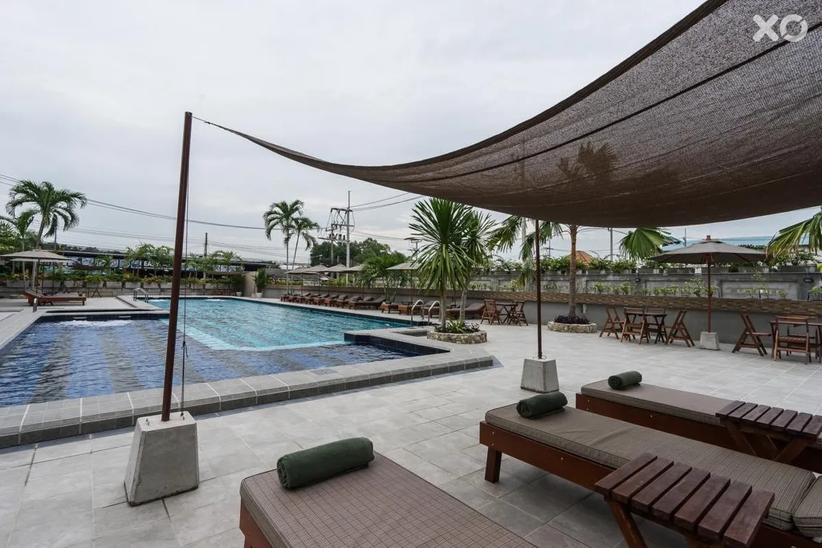 Olive Tree Hotel
