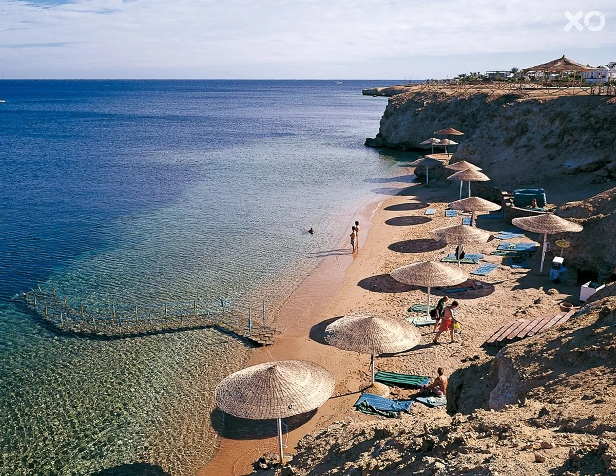 Club Reef