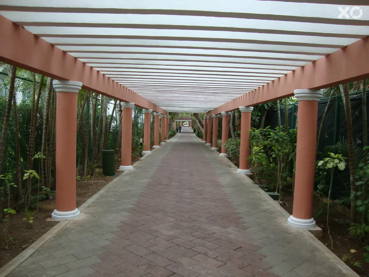 Riu Tequila Hotel