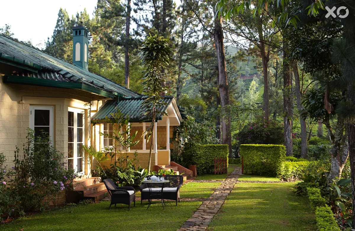 Ceylon Tea Trails