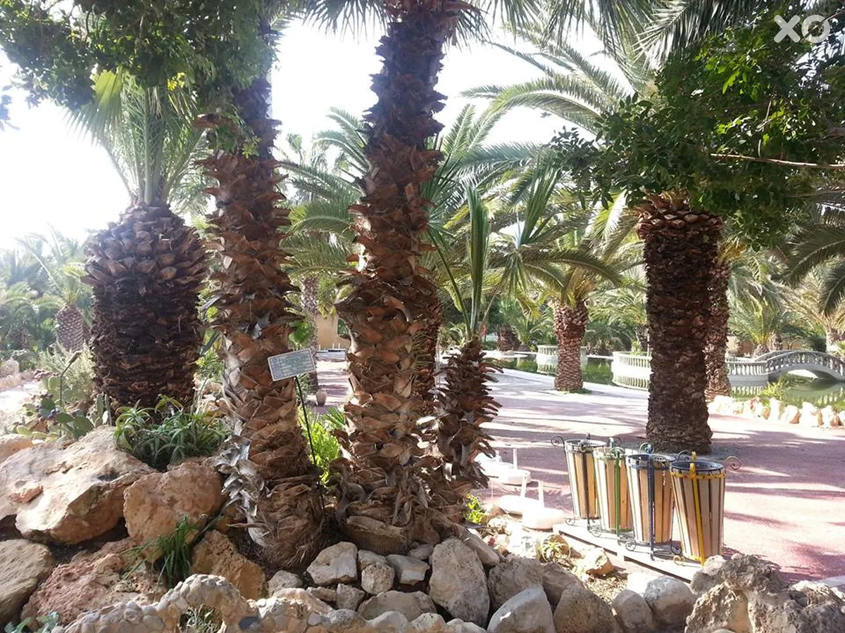 Mediterranee Thalasso Golf Hotel