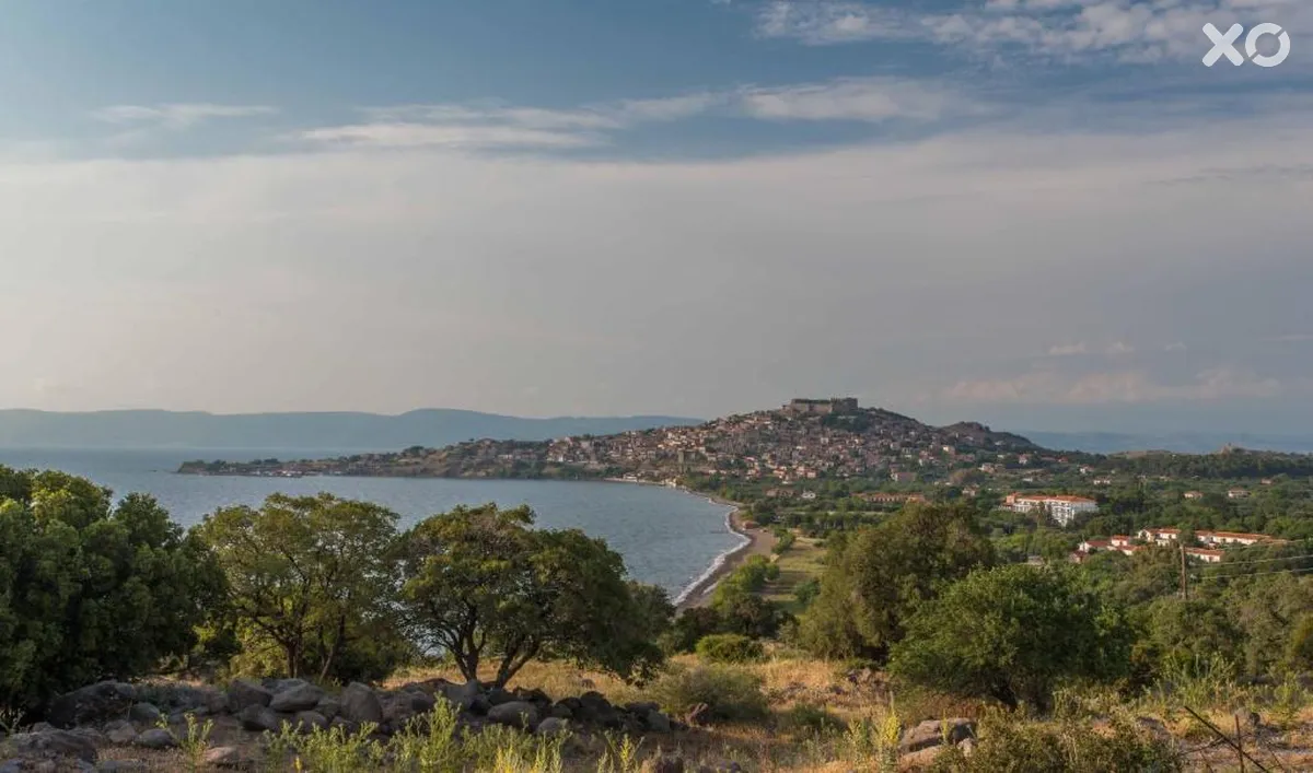 Delfinia Hotel & Bungalows